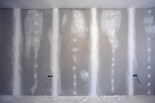 Best Water-Damaged Drywall Repair  in Madison Heights, MI